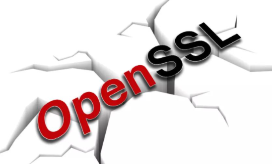 OpenSSL徲£޸Ʒе2徲.png